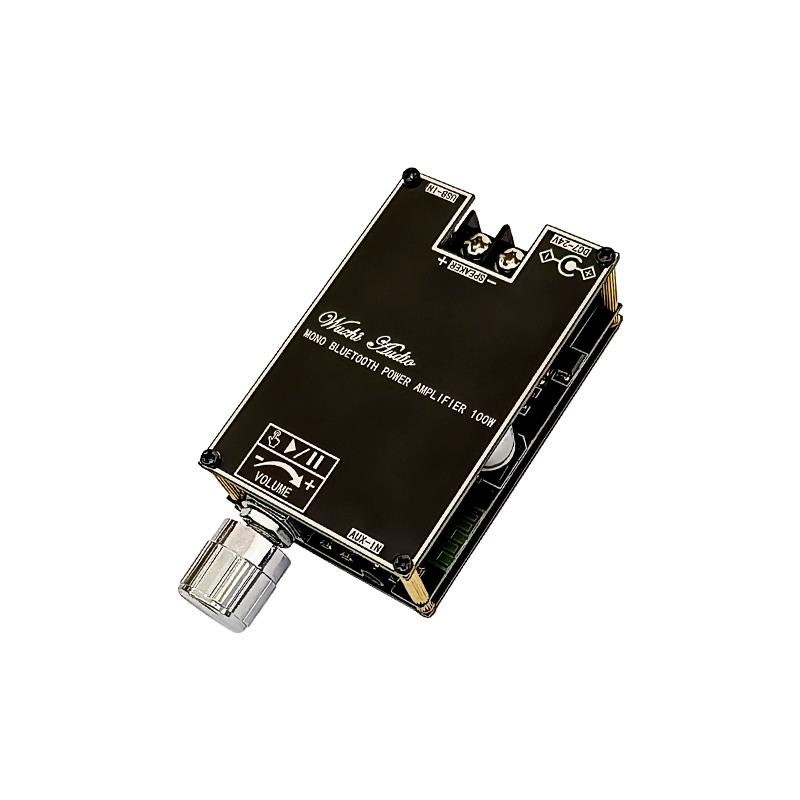 Bluetooth 5.1 TPA3116 D2 Mono  – Home Cinema Equipment Bewertung und Preis