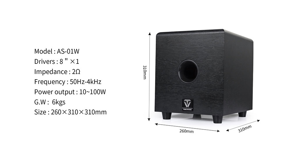 Tonewinner YX-01P Dolby Atmos  – Home Cinema Portable Bewertung und Preis